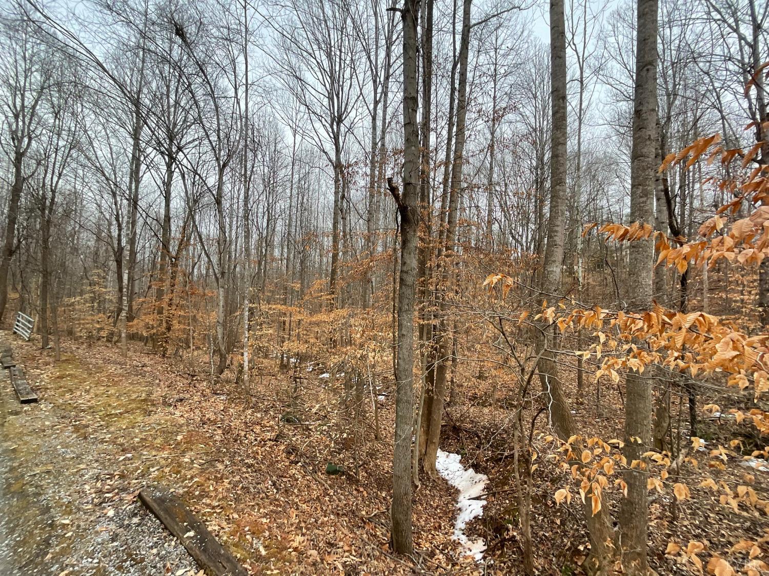 0 Rothwood Road Monroe, VA 24574 - Photo 8 of 8