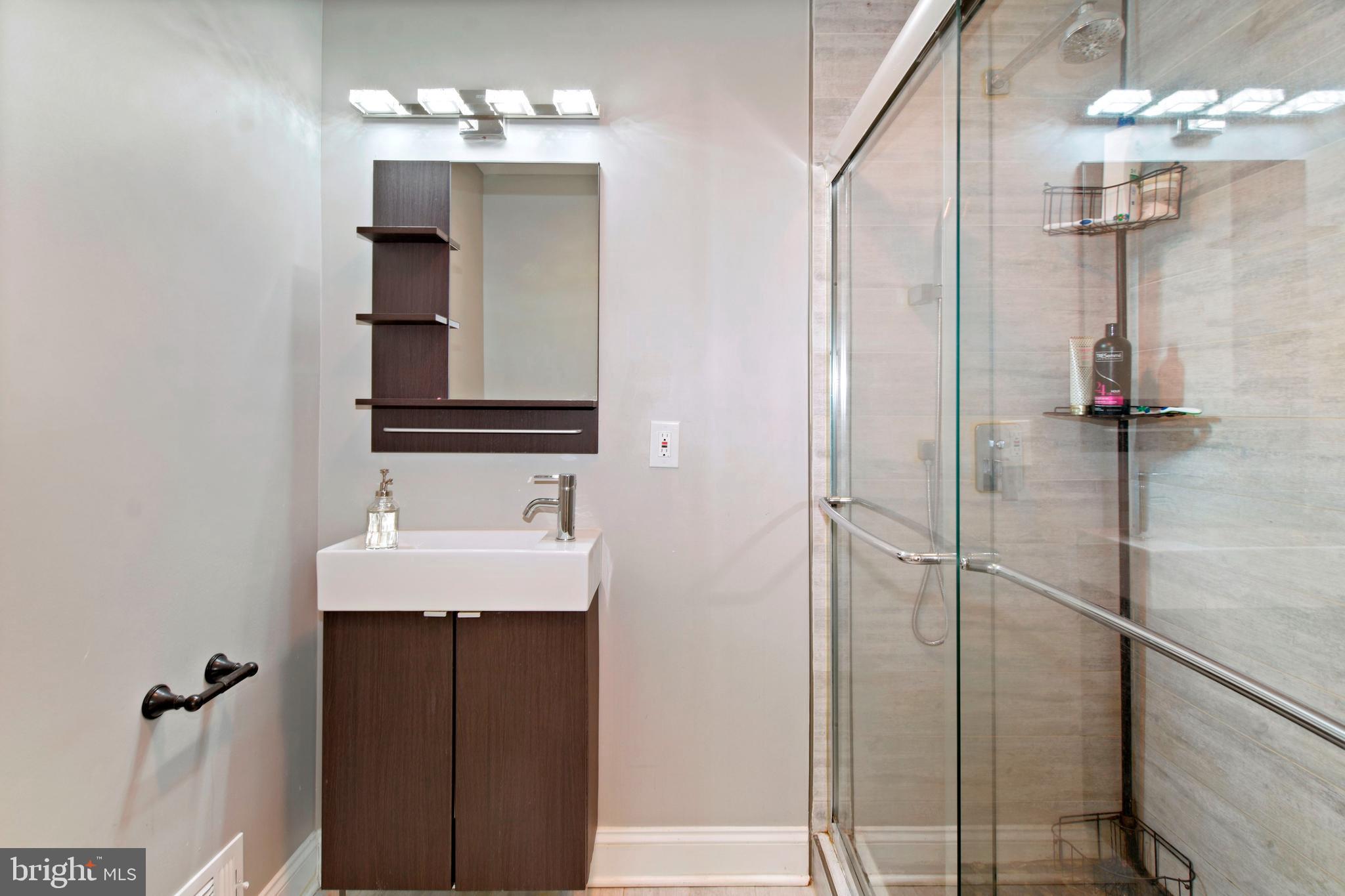 16221 Frederick Road Woodbine, MD 21797 - Photo 17 of 40 Primary Bath