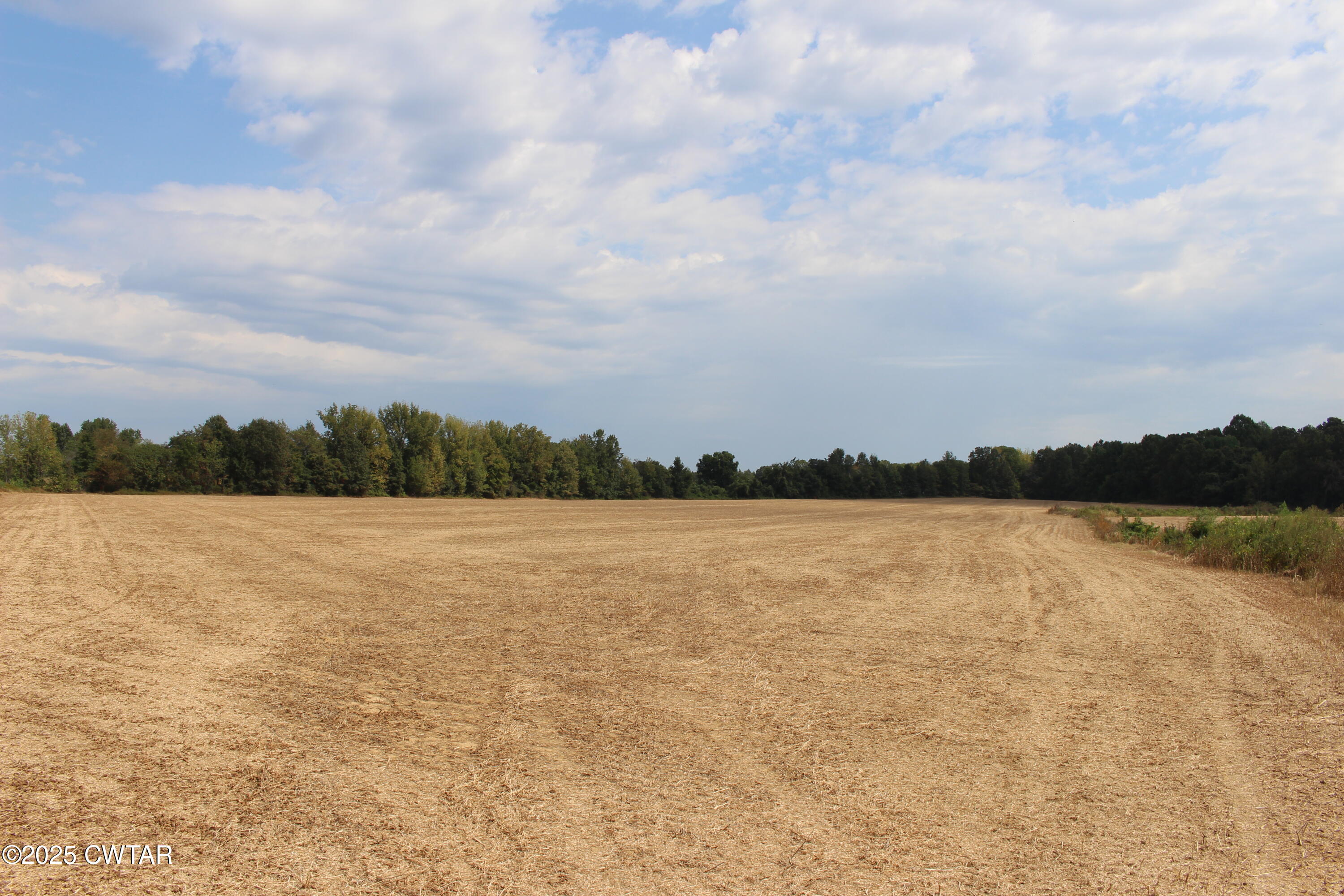 0 Highway 138 Denmark, TN 38391 - Photo 11 of 18 a view of lake