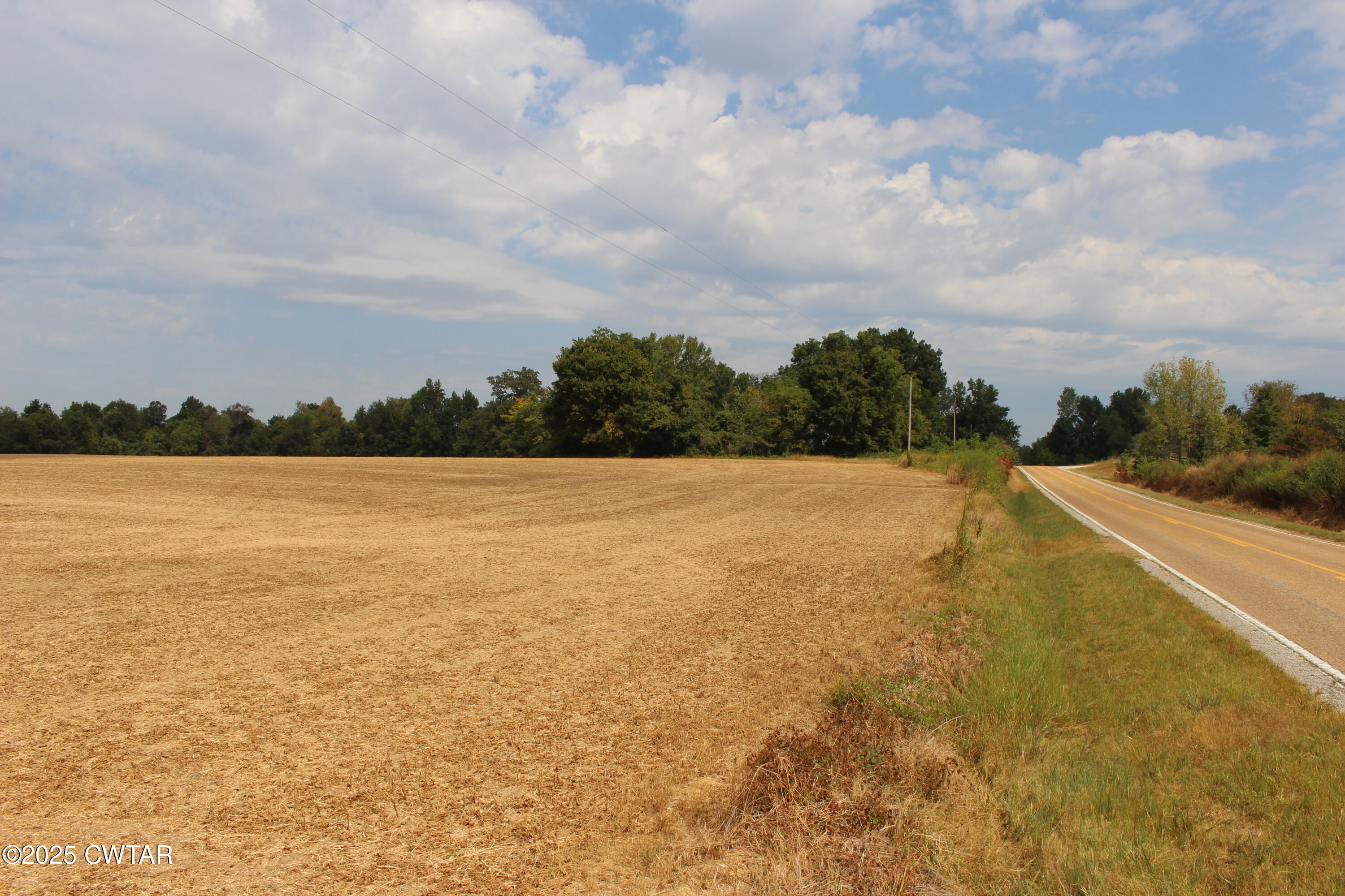 0 Highway 138 Denmark, TN 38391 - Photo 16 of 18 a view of a lake and trees in the background