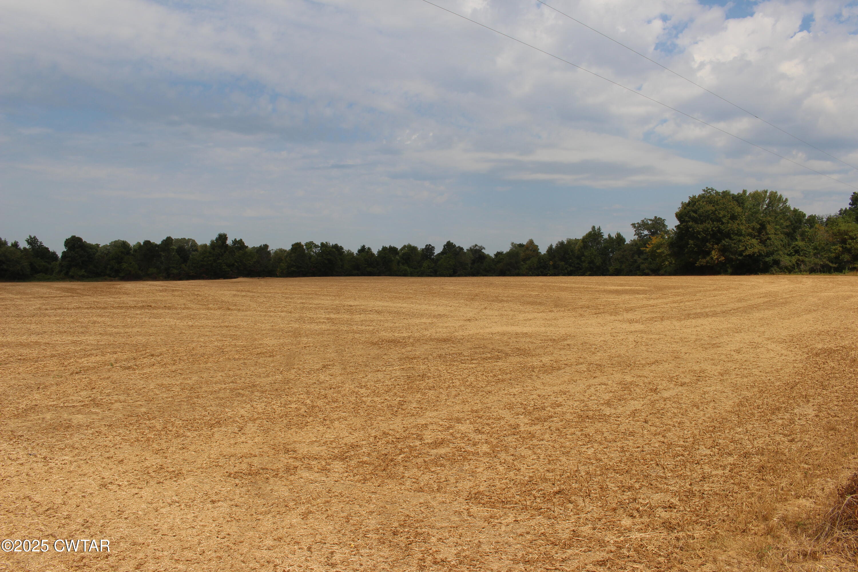 0 Highway 138 Denmark, TN 38391 - Photo 17 of 18 a view of outside space and lake view