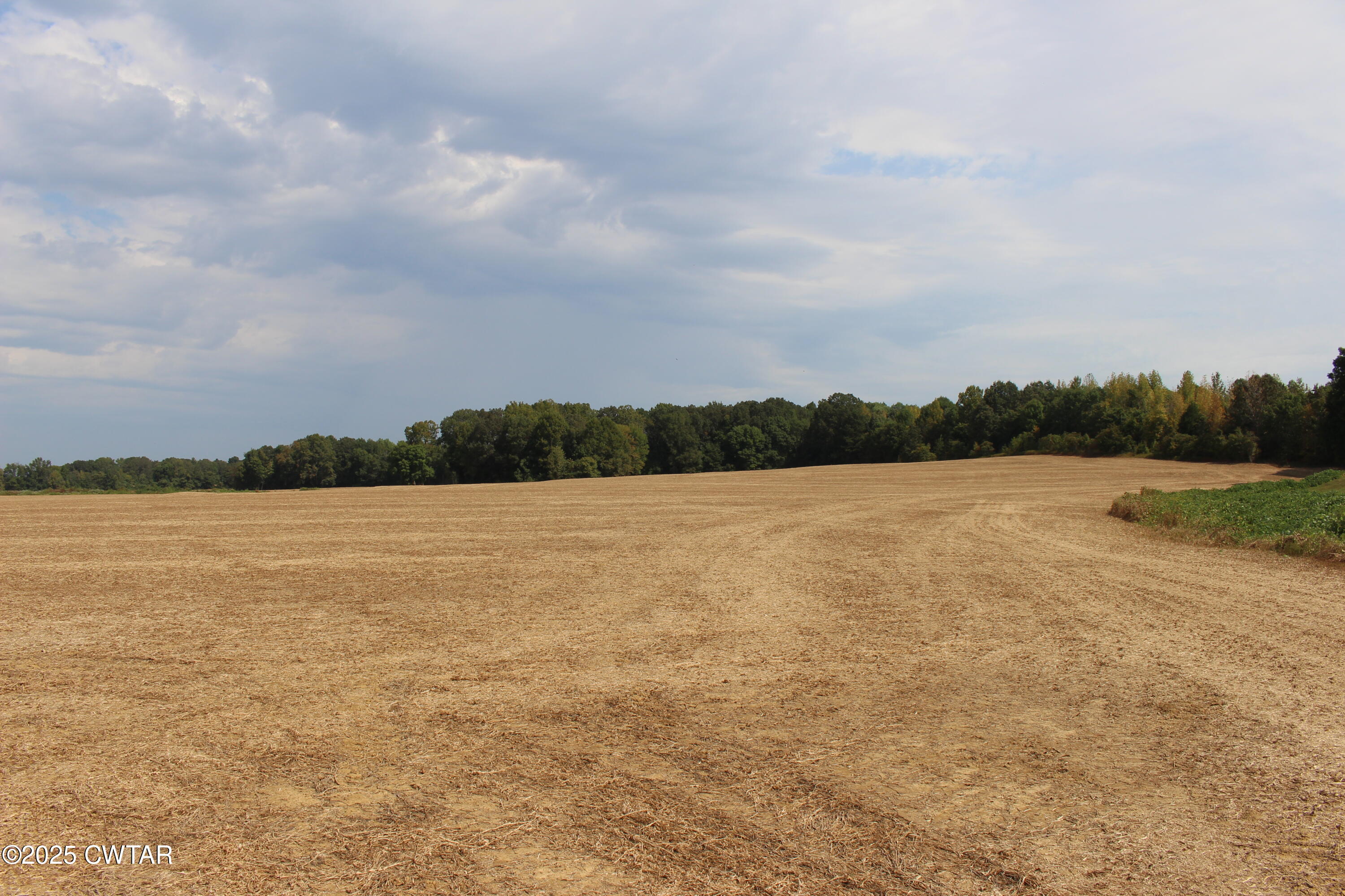 0 Highway 138 Denmark, TN 38391 - Photo 2 of 18 a view of lake