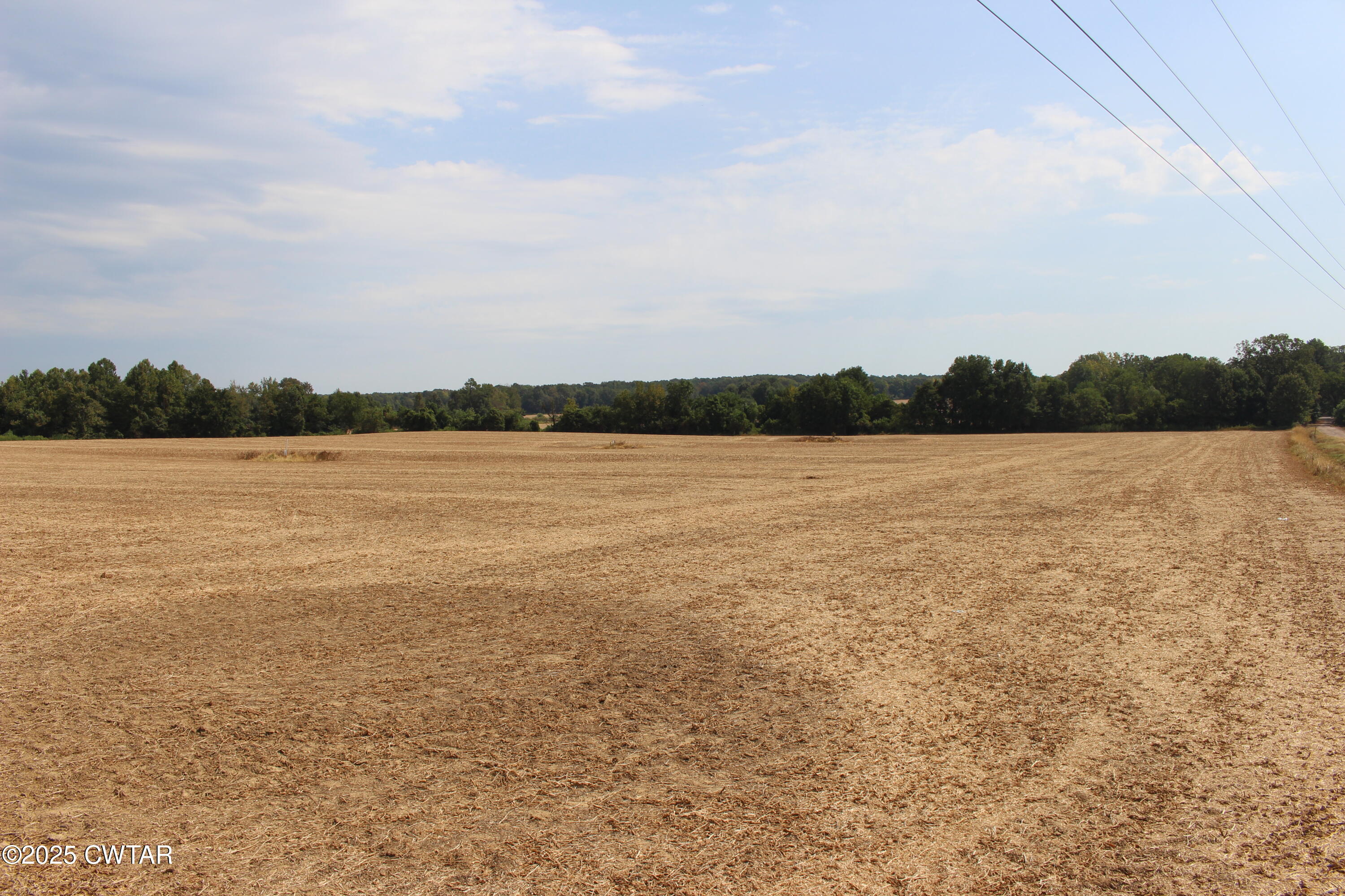 0 Highway 138 Denmark, TN 38391 - Photo 6 of 18 a view of outside space and a lake view