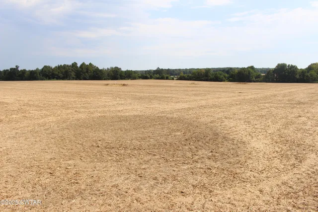 a view of an ocean and beach