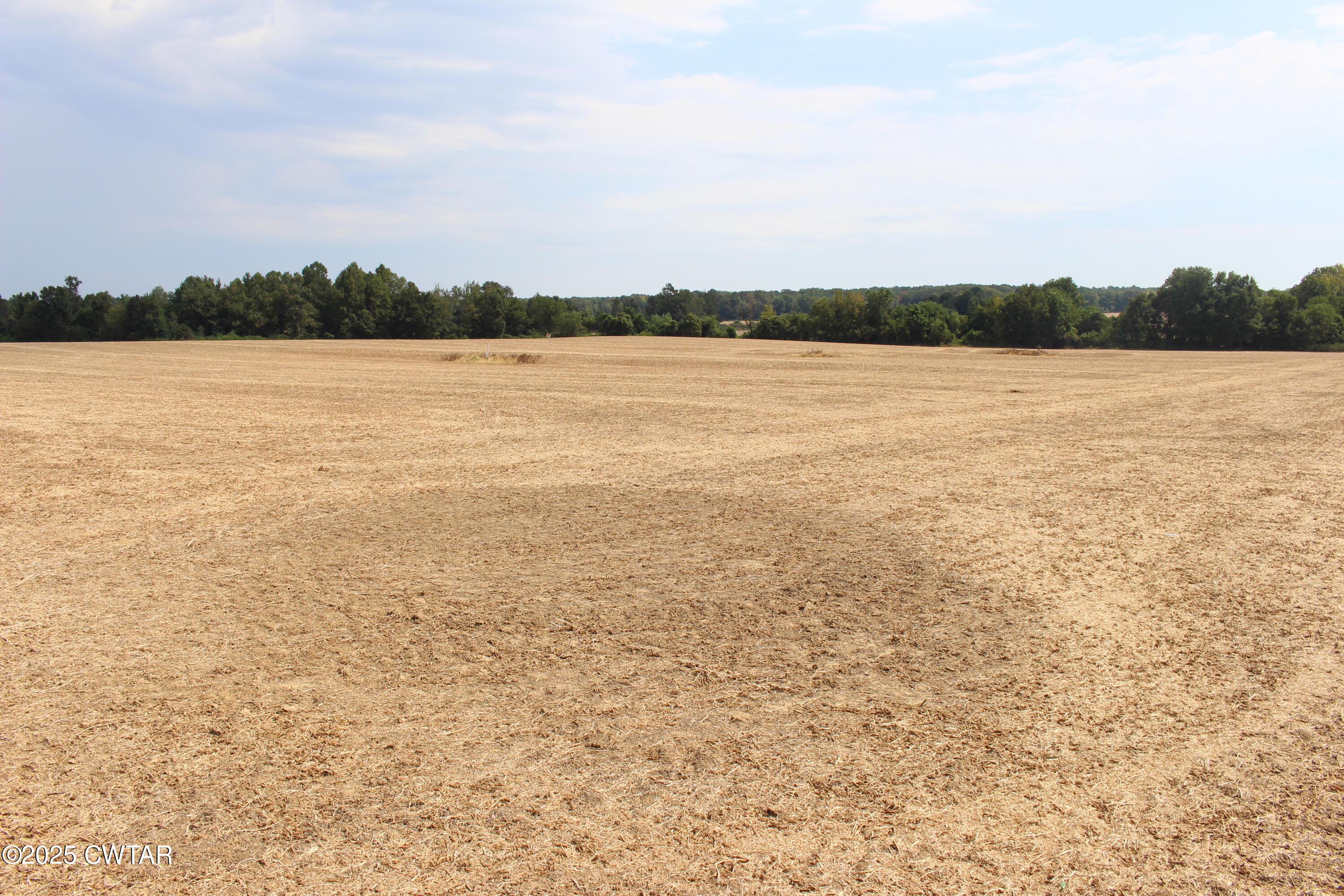 0 Highway 138 Denmark, TN 38391 - Photo 8 of 18 a view of an ocean and beach