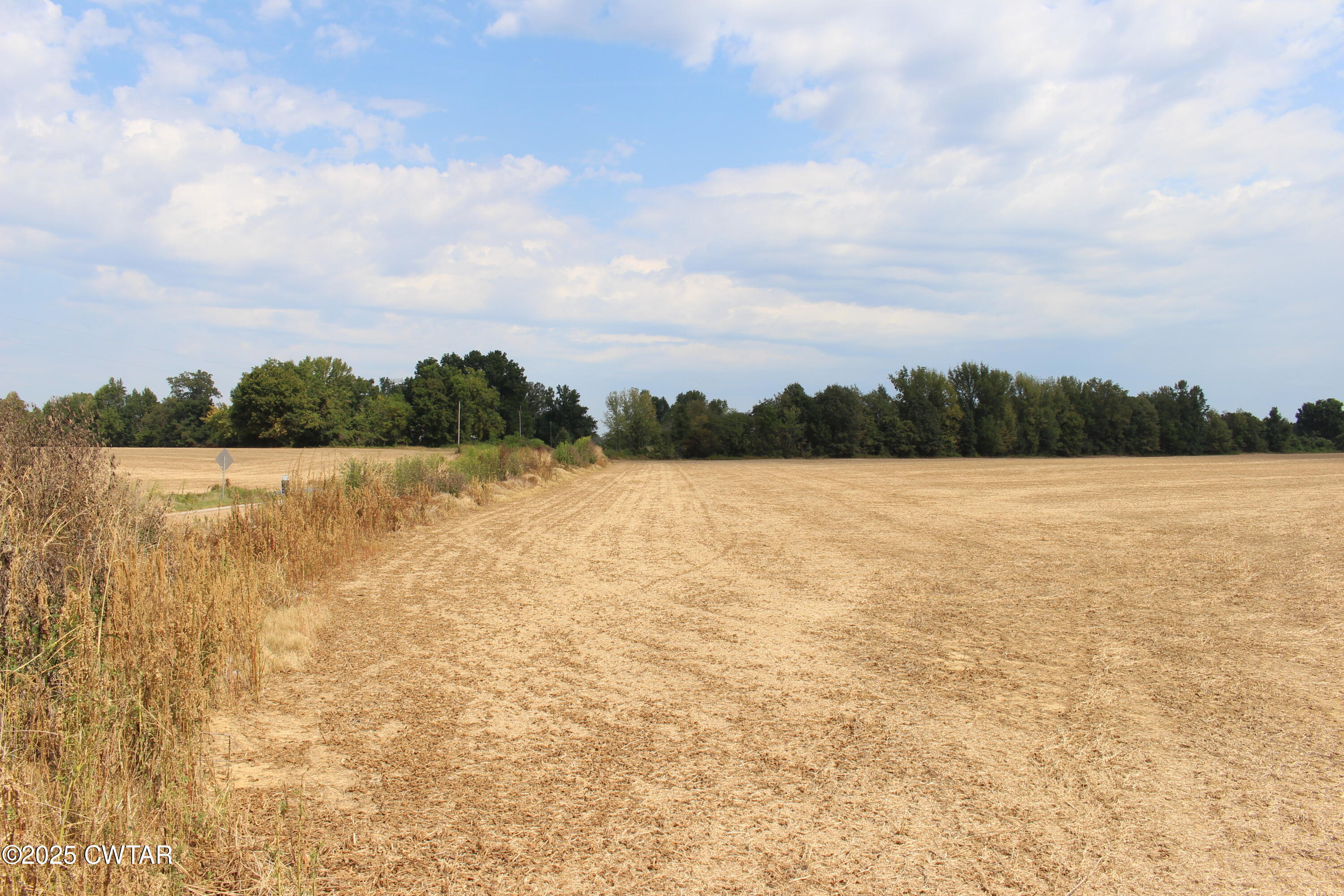 0 Highway 138 Denmark, TN 38391 - Photo 10 of 18 a view of outside space and lake view