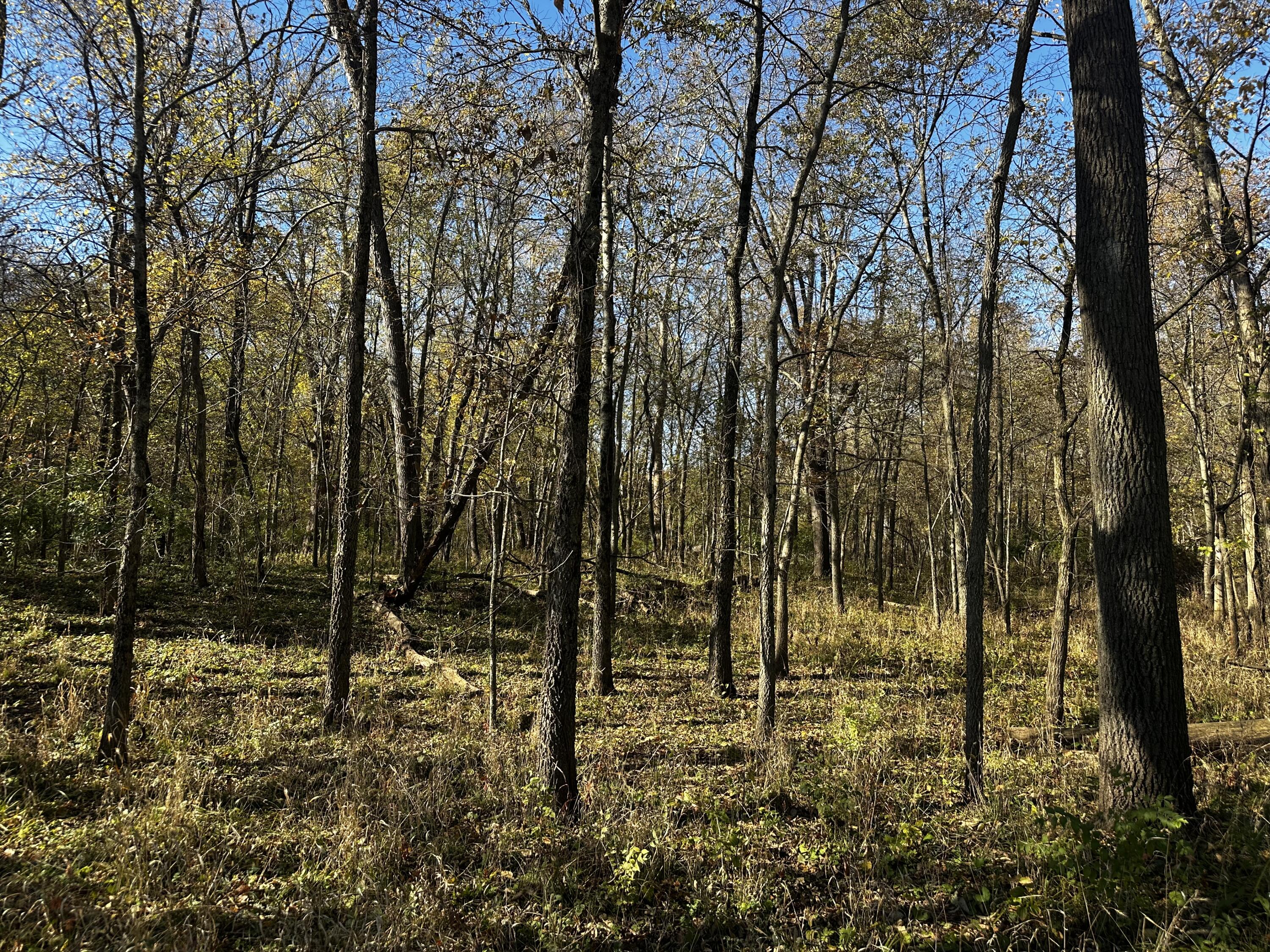 4360 East 3 Mile Road Monterey, IN 46960 - Photo 13 of 13
