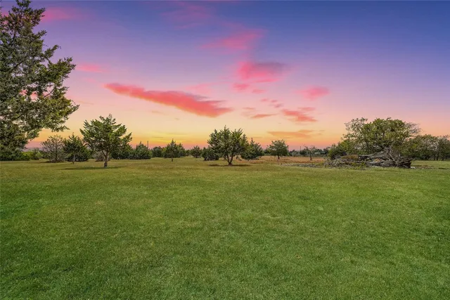 a view of a field with an ocean