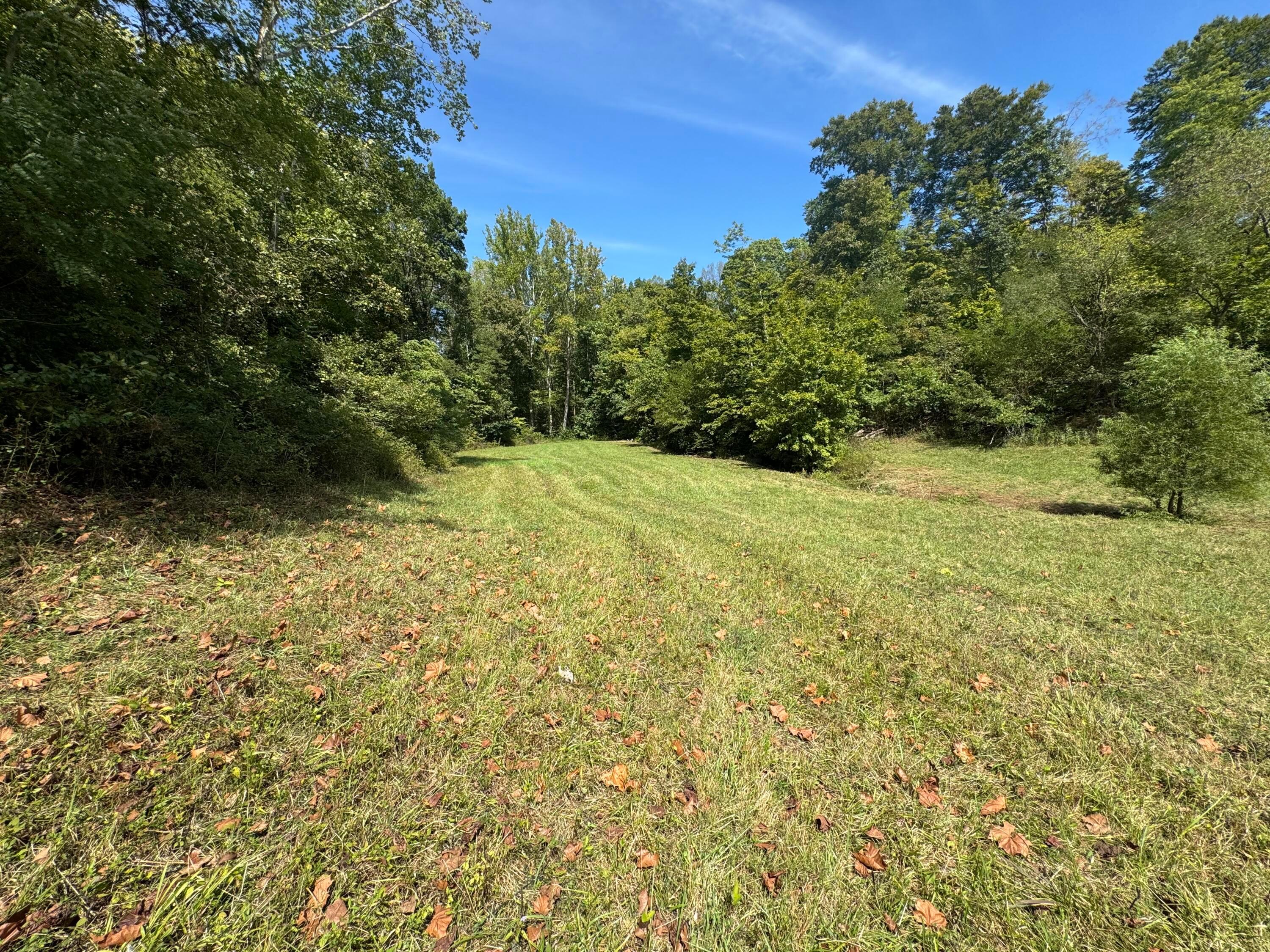 0 McGrath Road, Unit MCGRATH TRACT 5) Athens, OH 45701 - Photo 42 of 71 20240912_173921223_iOS