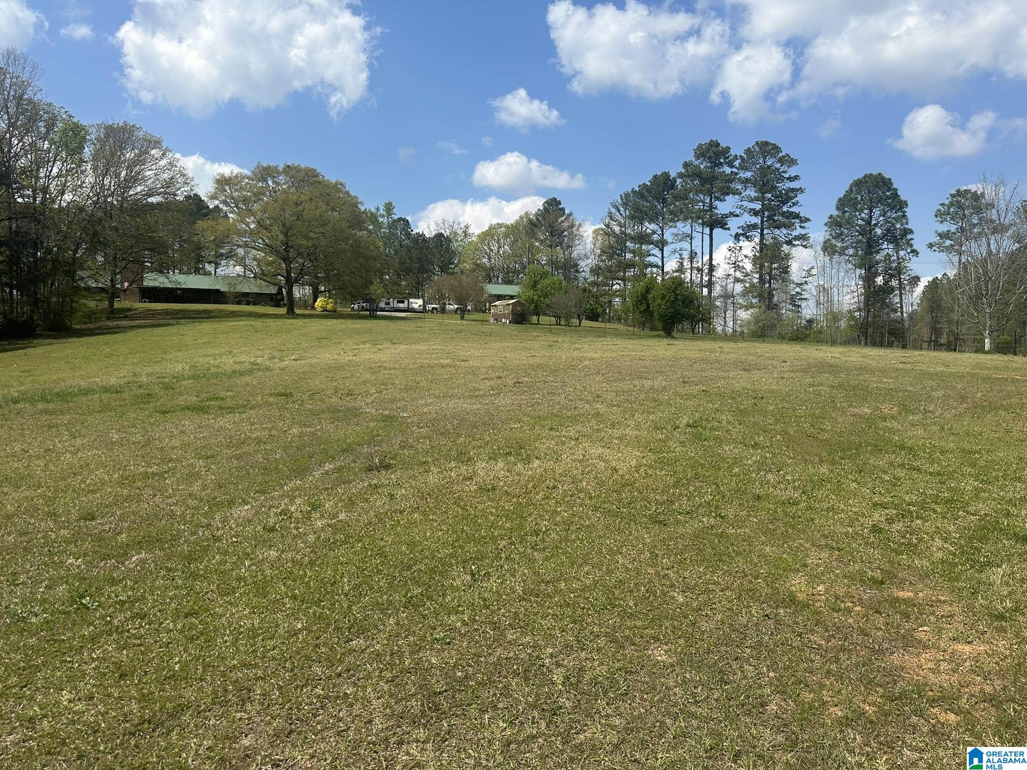 75 Mary Lee Lane Alpine, AL 35014 - Photo 16 of 77