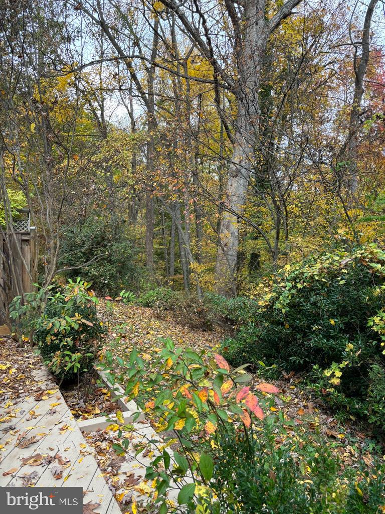 6803 Wild Rose Court Springfield, VA 22152 - Photo 48 of 49 a view of a garden with plants and large trees