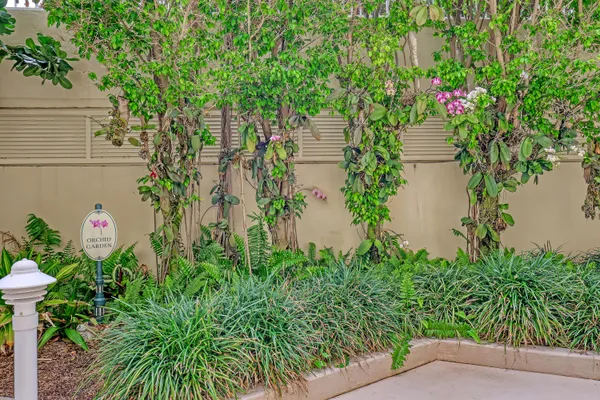 a flower plants and a wooden fence