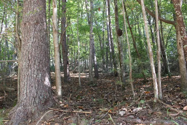 $23,000 | Lot 546 North Satsuma Court, Ellijay, GA 30540