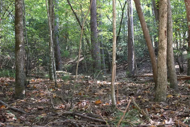 $23,000 | Lot 546 North Satsuma Court, Ellijay, GA 30540