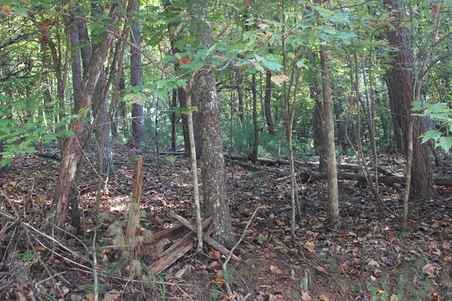 $23,000 | Lot 546 North Satsuma Court, Ellijay, GA 30540