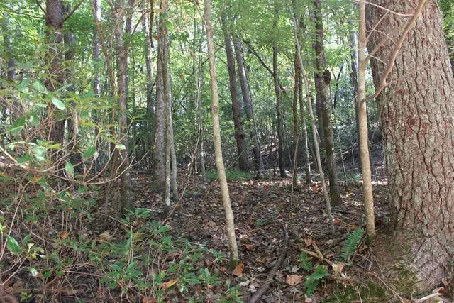 $23,000 | Lot 546 North Satsuma Court, Ellijay, GA 30540