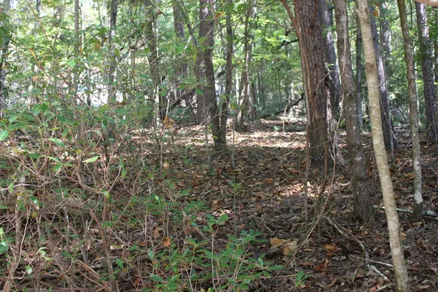 $23,000 | Lot 546 North Satsuma Court, Ellijay, GA 30540