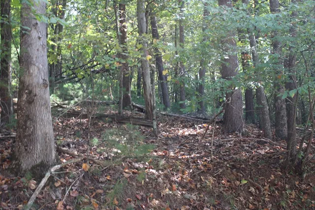 $23,000 | Lot 546 North Satsuma Court, Ellijay, GA 30540