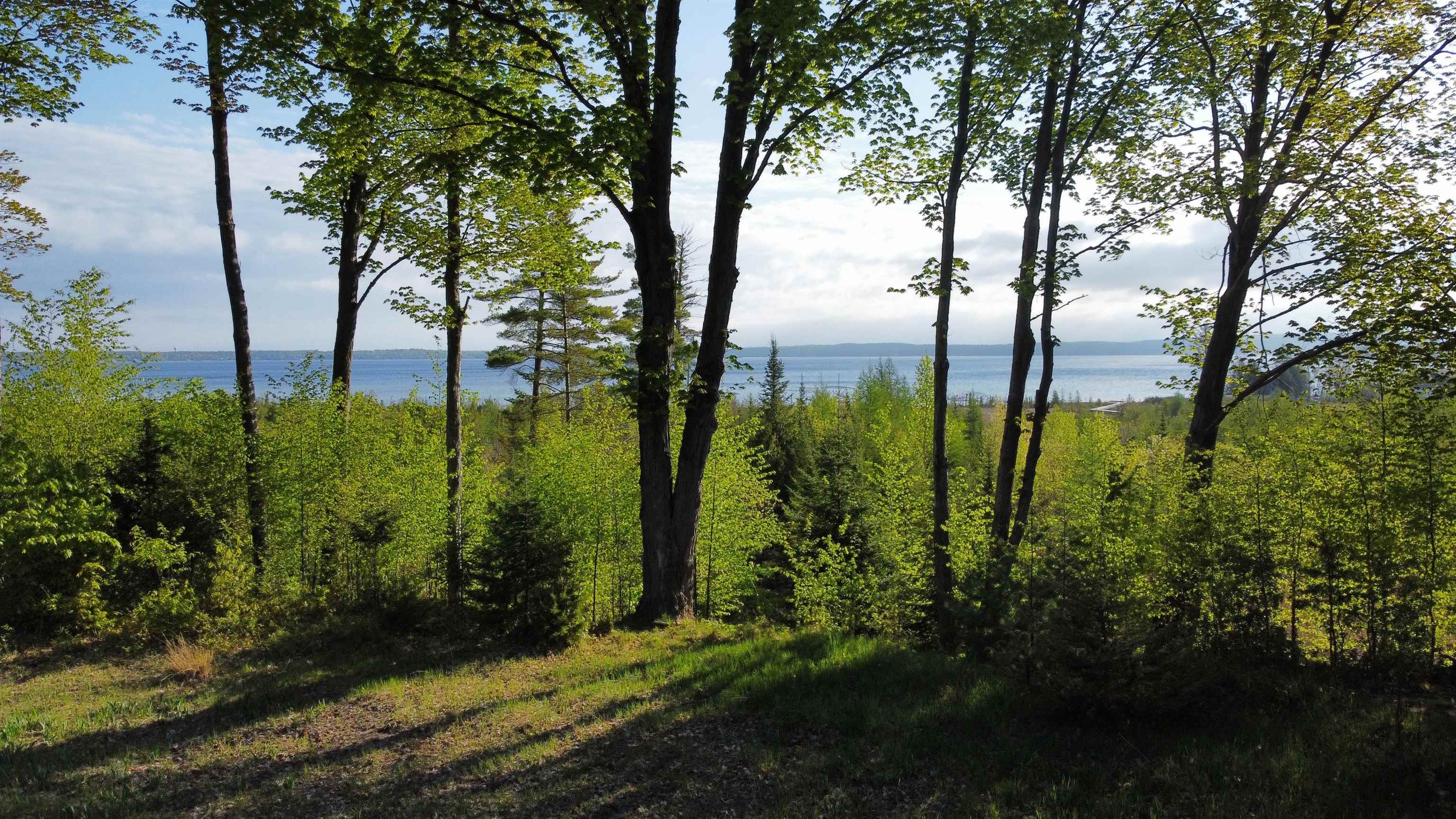 0 Robins Ridge Charlevoix, MI 49720 - Photo 11 of 16