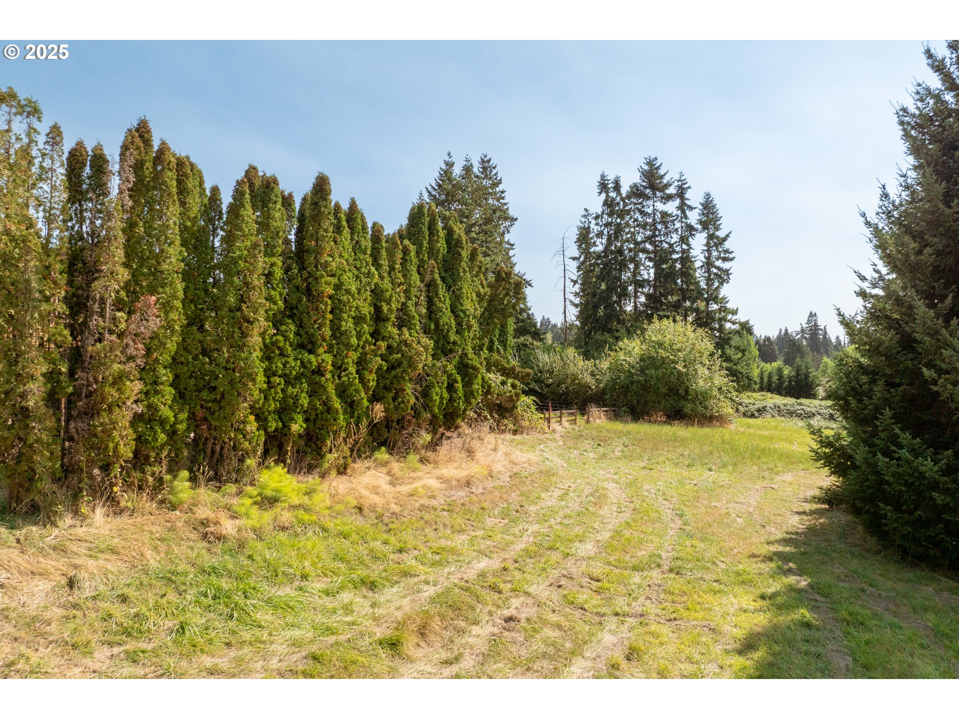 1415 Cloverdale Road Kalama, WA 98625 - Photo 33 of 39 a view of a yard