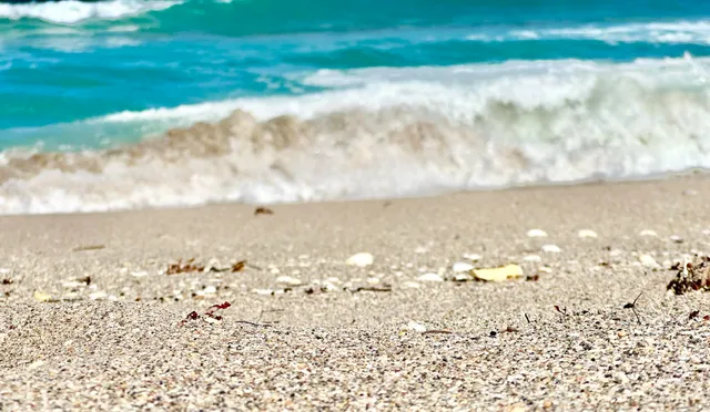 a view of swimming pool with furniture