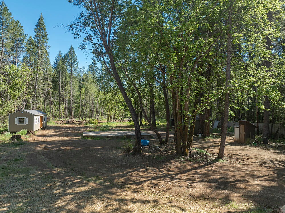 382 Garner Road Cave Junction, OR 97523 - Photo 4 of 38 DJI_0013