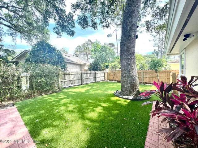 a view of a yard with a tree