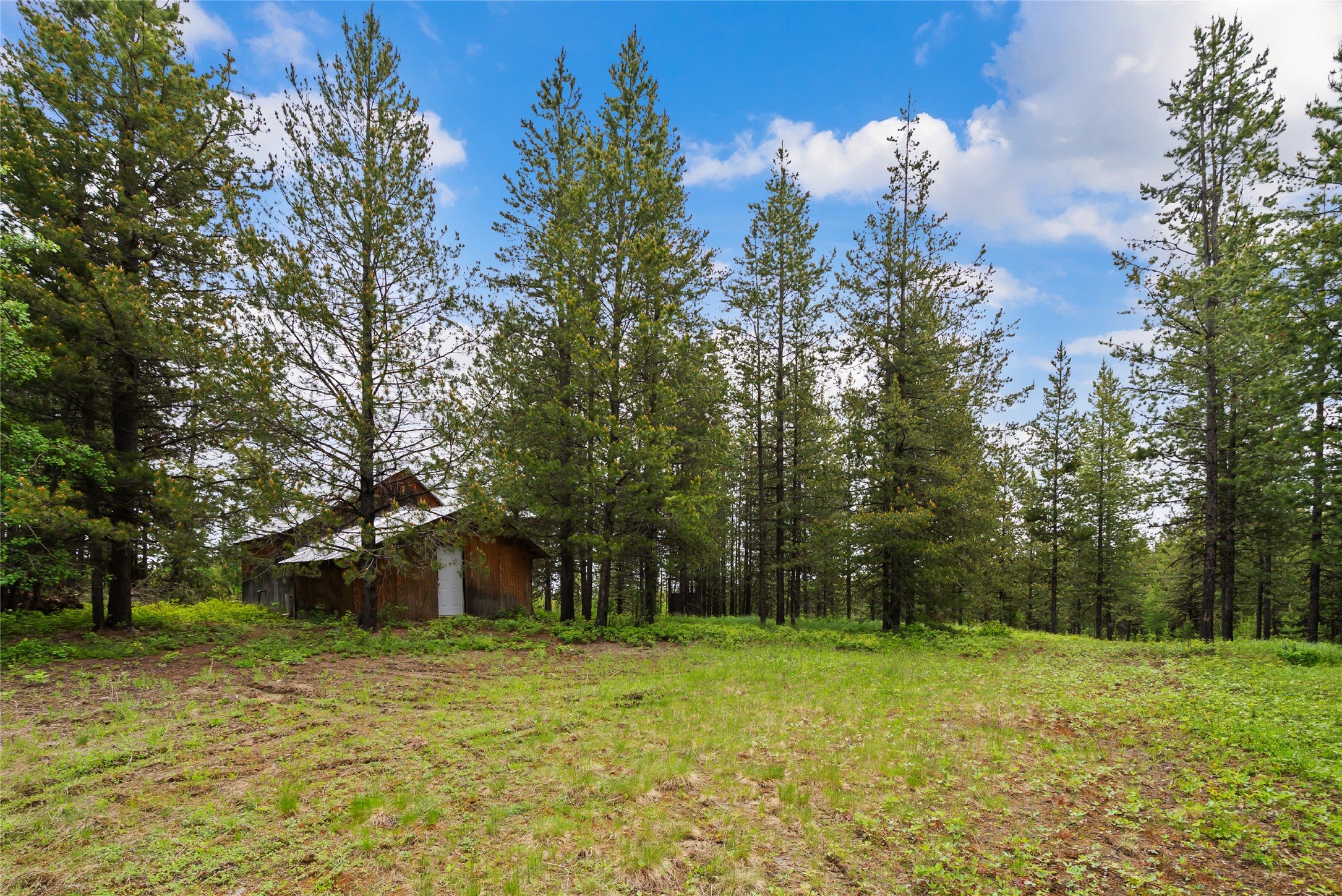 11532 North Fork Road Polebridge, MT 59928 - Photo 7 of 8 Gallery Image 7