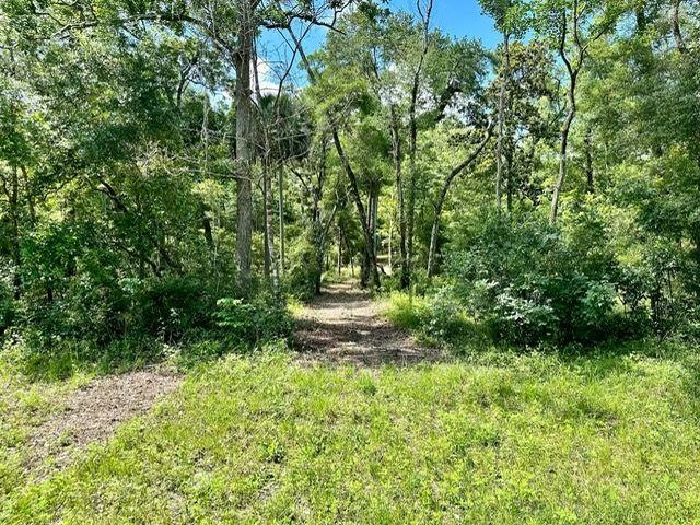 0 Jack Crum Road Crawfordville, FL 32327 - Photo 11 of 15 Gallery Image 11