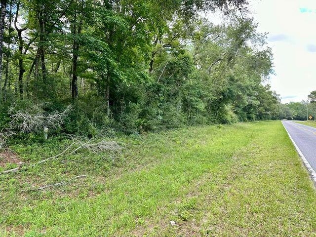 0 Jack Crum Road Crawfordville, FL 32327 - Photo 4 of 15 Gallery Image 4