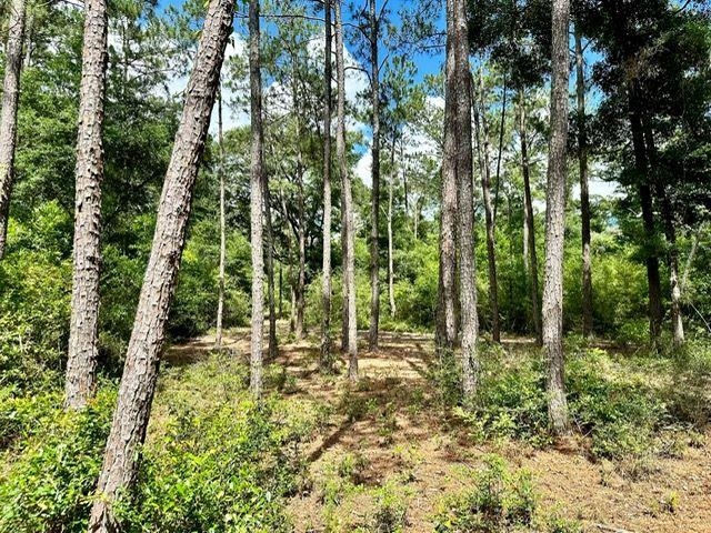 0 Jack Crum Road Crawfordville, FL 32327 - Photo 8 of 15 Gallery Image 8