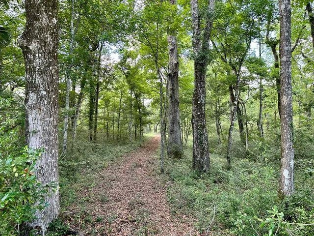 0 Jack Crum Road Crawfordville, FL 32327 - Photo 10 of 15 Gallery Image 10