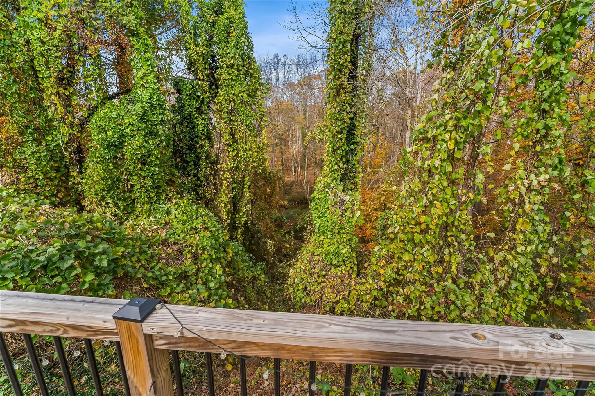 320 Morehead St Extension Morganton, NC 28655 - Photo 25 of 33 a view of balcony with wooden floor