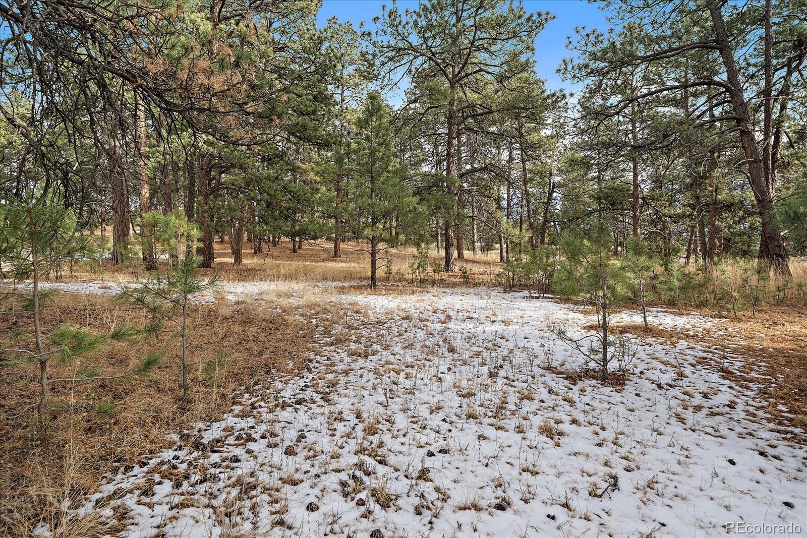 N/a N/a Tbd Elizabeth, CO 80107 - Photo 19 of 21 a view of covered with trees