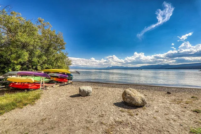 a view of a yard with plants