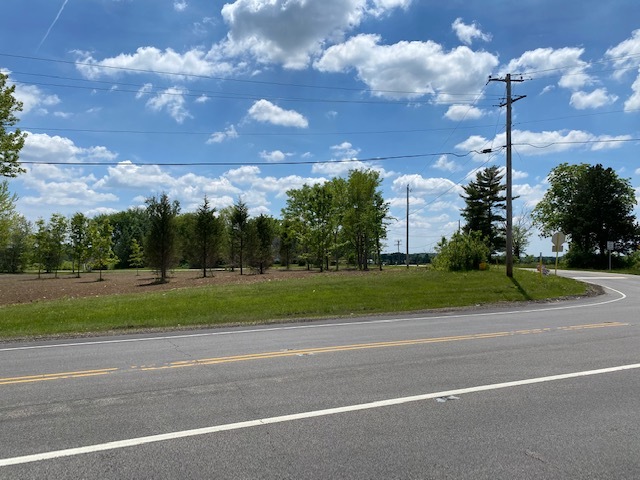 0 State Route 120 Woodstock, IL 60098 - Photo 3 of 9 a view of a yard