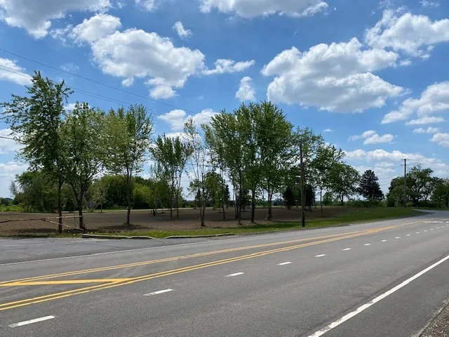 a view of a playground