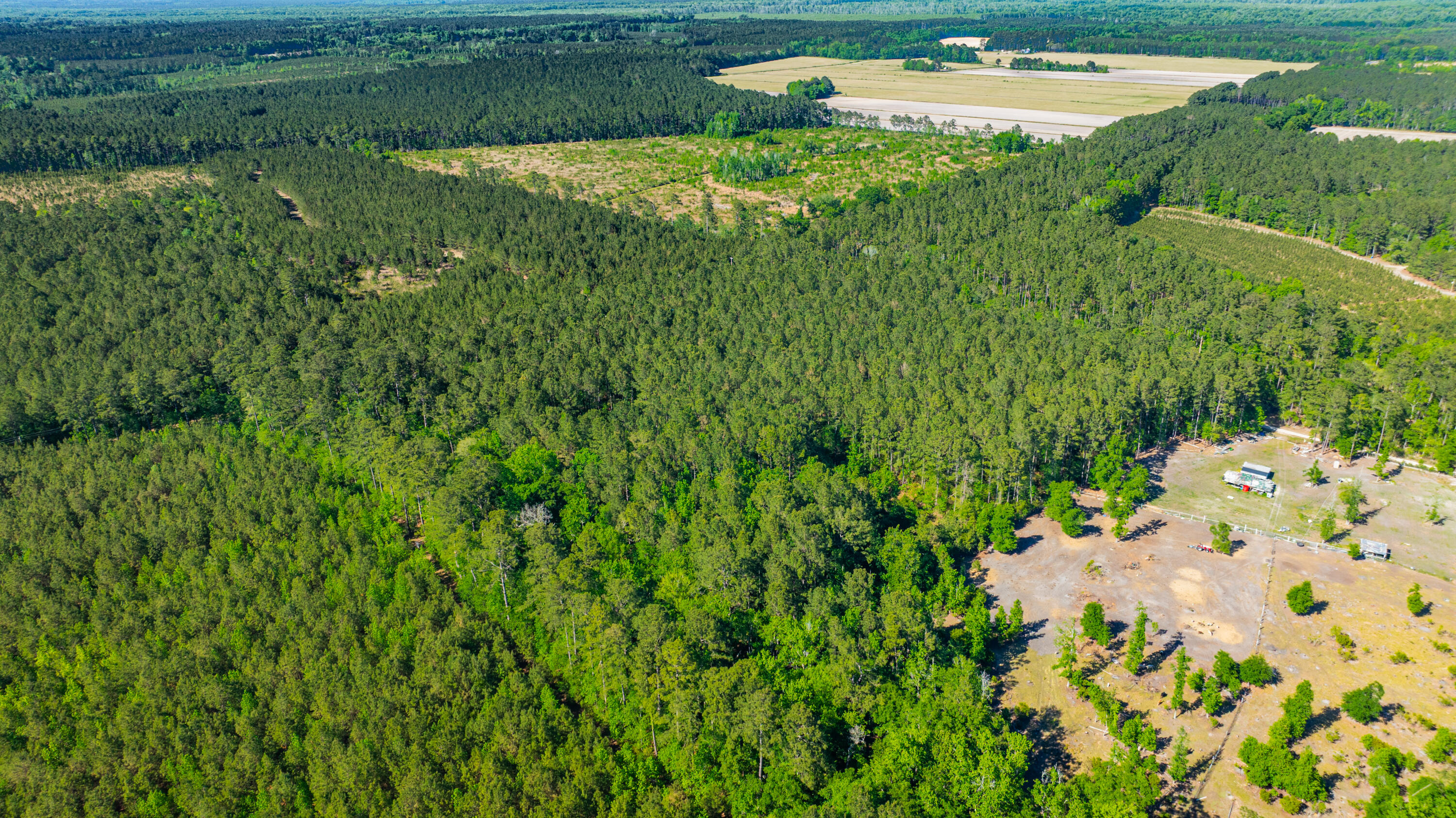0 Crews Cemetary Road Varnville, SC 29944 - Photo 15 of 17 DJI_0566