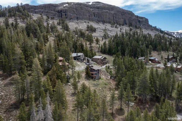 a view of a yard with large trees
