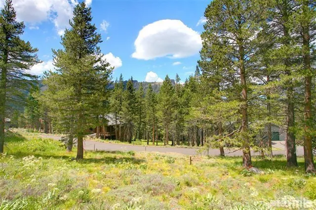 a picture of a window