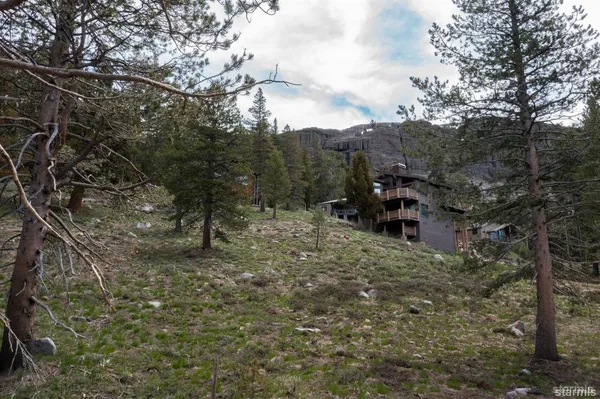 a view of a outdoor space with trees all around