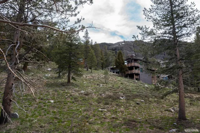 a view of a outdoor space with trees all around