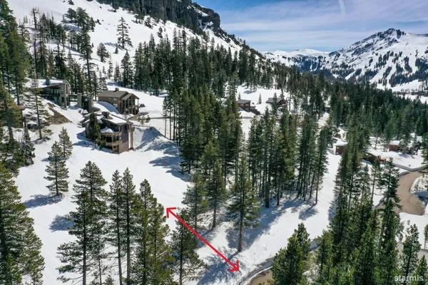 a view of outdoor space with lots of trees