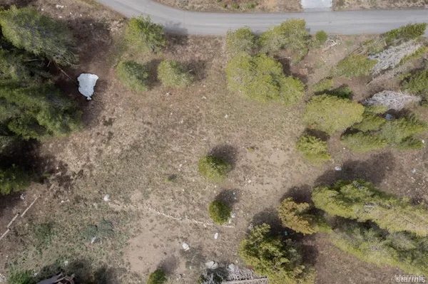 a view of a dry yard with green space