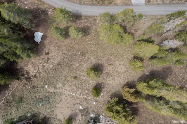 a view of a dry yard with green space
