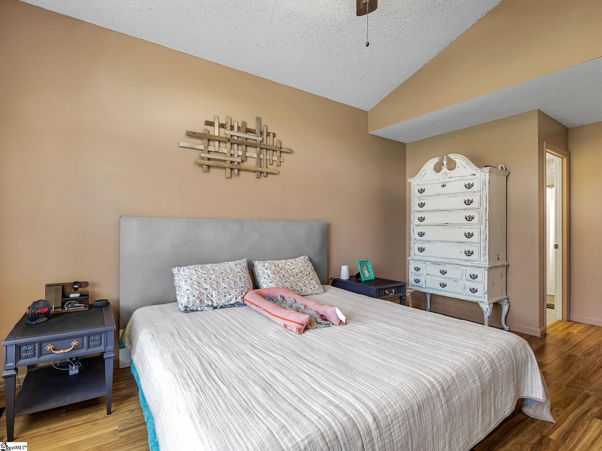 169 Parris Ridge Drive Boiling Springs, SC 29316 - Photo 19 of 36 Gallery Image 19