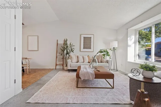 a living room with furniture and a rug