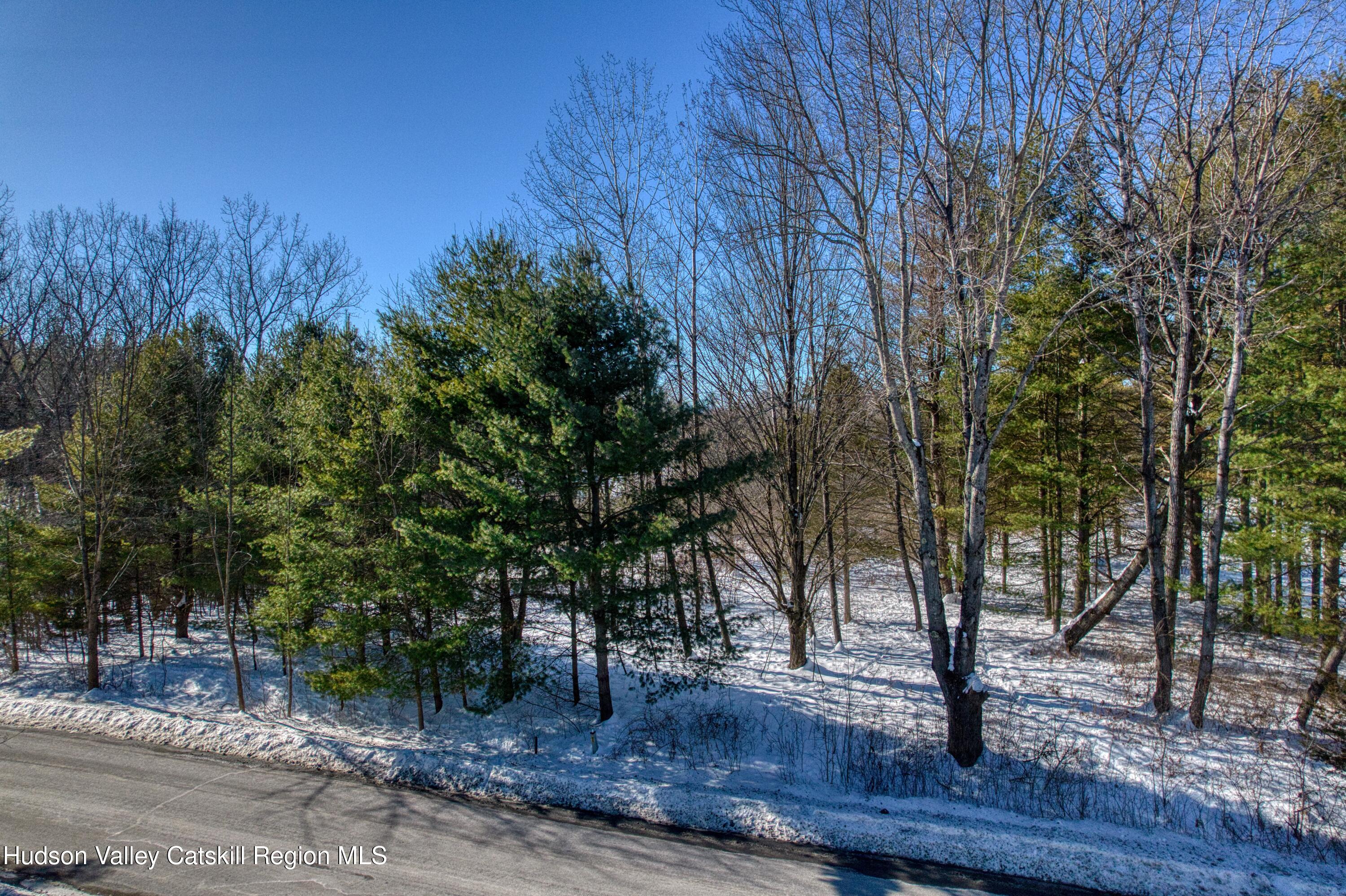 1178 Sleepy Hollow Road Athens, NY 12015 - Photo 2 of 11 a view of a backyard with tree