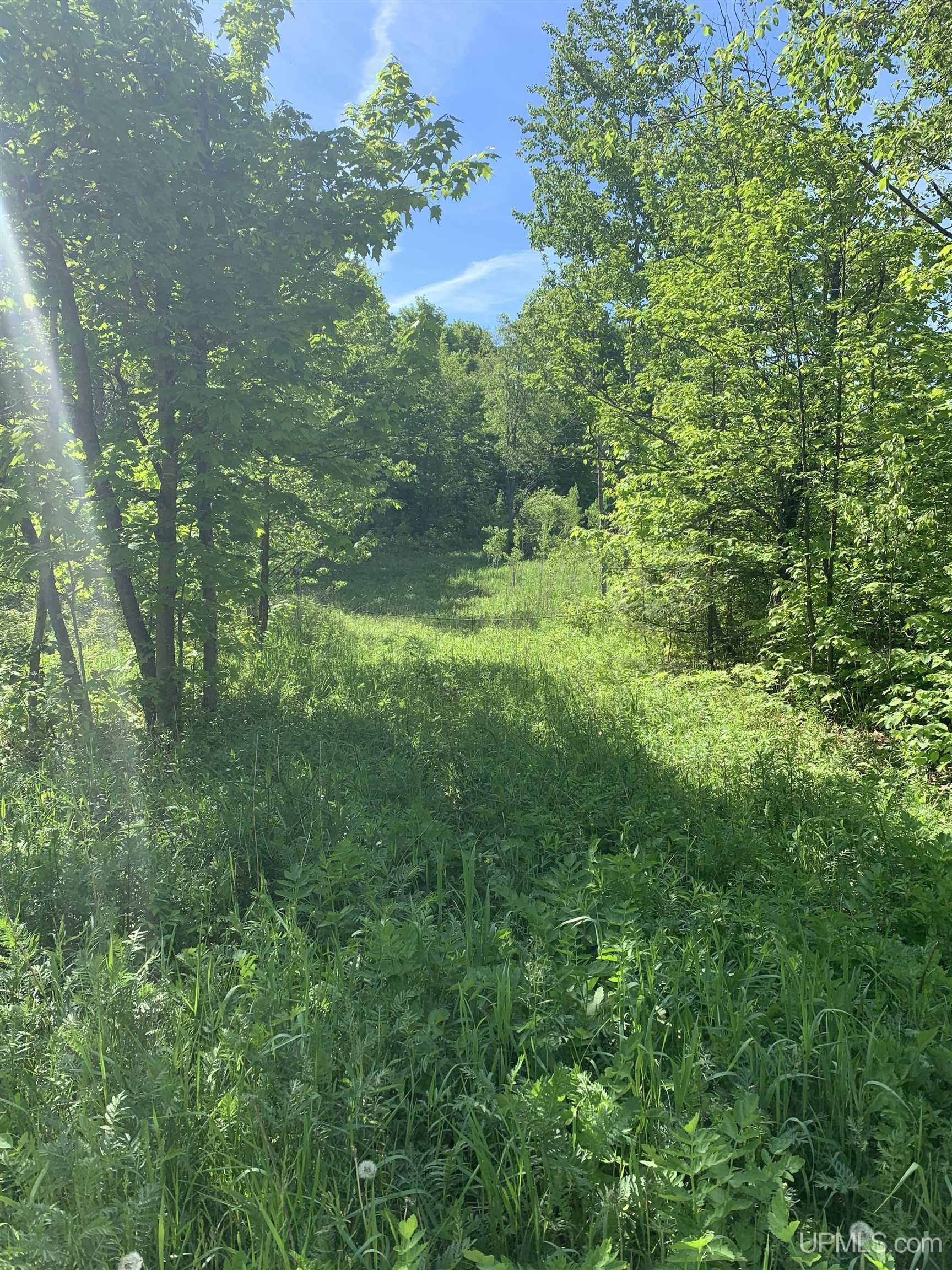 E3985 East 23rd Road Chatham, MI 49816 - Photo 13 of 33