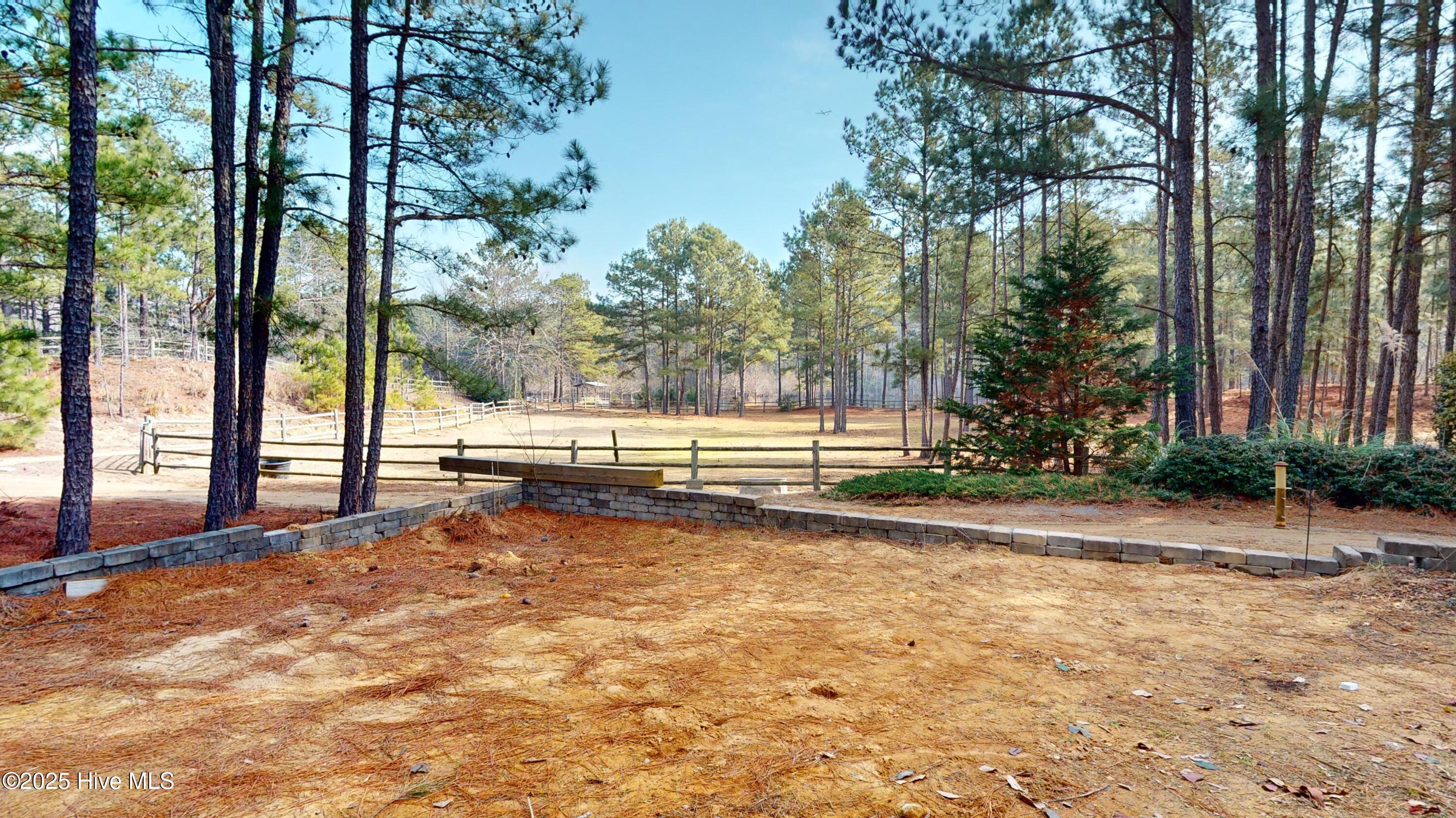 3565 Niagara Carthage Road Carthage, NC 28327 - Photo 21 of 89 3565-Niagara-Carthage-Rd-01312025_170650